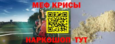 стаф Кунгур