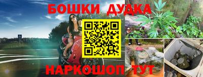 стаф Кунгур