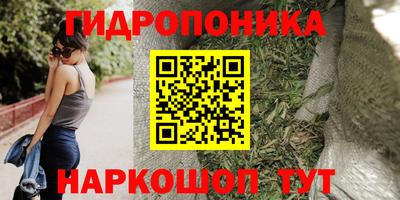 стаф Кунгур