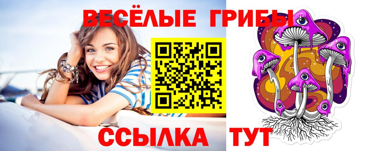 Псилоцибиновые грибы Cubensis  Псилоцибиновые грибы мицелий  Вход с VPN  Гусиноозёрск 